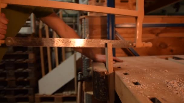 Плотник пилит дрова вручную в мастерской — стоковое видео
