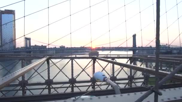 MOCIÓN LENTA: En el puente de Brooklyn mirando hacia East River No People with Cars, Tráfico pasando el puente Verano, Amanecer — Vídeos de Stock