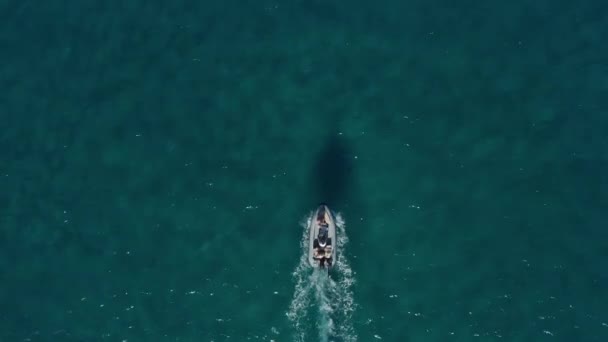 頭上トップダウン鳥透明なターコイズブルーの水の上の小さなボートの空中ビュー — ストック動画