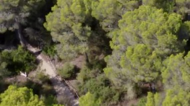 Mallorca Adası 'ndaki Yeşil Orman' ın üzerinde Güneşli Hava 