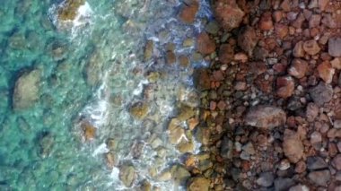 Kahverengi Kum, Su, Dalgalar ve Orman Ormanı Tatili, Seyahat, Güneşli, Okyanuslu Güzel Renkli Kuşlar Manzarası 