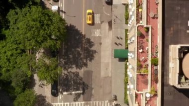 Güzel güneşli bir yaz gününde Central Park 'taki New York caddesinin yukarıdan aşağı kuşları manzarası 