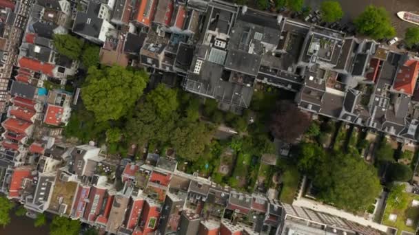 Overhead Birds View of Amsterdam, Netherlands Γειτονιά με πράσινα δέντρα και κόκκινες ταράτσες — Αρχείο Βίντεο