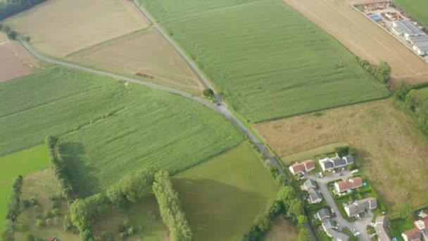 Silnice opouštějící malé město v Evropě se zemědělským kukuřičným polem, letecký výhled vpřed — Stock video