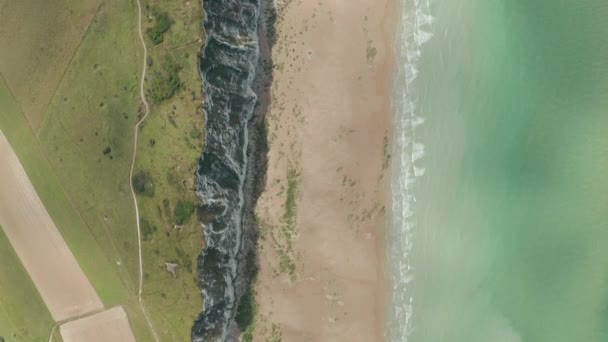 From Aerial Overhead Top Down Birds View, turquoise Ocean and green Meado — 비디오