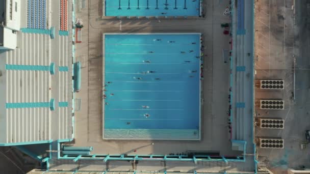 수영 선수들이 태양이 내리 쬐는 푸른 못에서 노를 젓도록 훈련시키는 모습 — 비디오