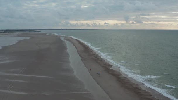 Rodzina spacerująca razem nad Piaszczystą Plażą w Chmurny Dzień, Przechył w dół — Wideo stockowe