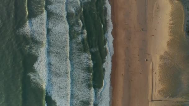 Plaża z wydmami i Blue Ocean Waves rozbija się o linię brzegową, Aerial Birds Eye Top Shot, powoli do przodu — Wideo stockowe