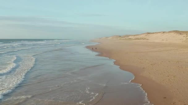 Happy romanttinen keski-ikäinen pari nauttia rentouttava auringonlasku kävellä loputon ranta koira, antenni korkea kulma eteenpäin — kuvapankkivideo