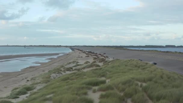 Vuelo bajo sobre Dune Grass saludando con viento y gaviotas pasando cerca de la playa con cielo nublado — Vídeo de stock