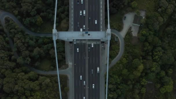 木に囲まれた橋の上の車、信じられないほどの鳥の目｜Airial View forward — ストック動画