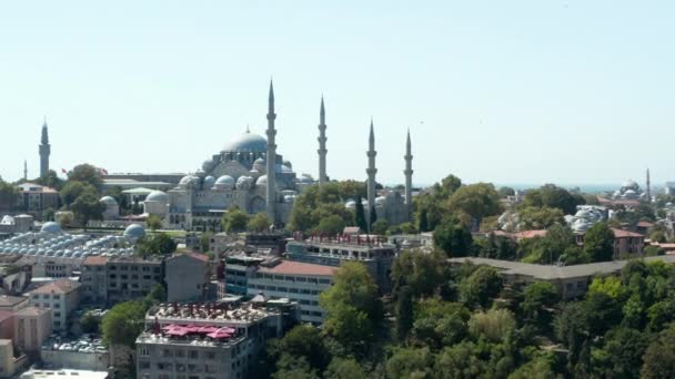 Мечеть на пагорбі в Стамбульському центрі міста з ясним блакитним небом і чайками, що проходять через раму, Доллі повільного повітря праворуч. — стокове відео