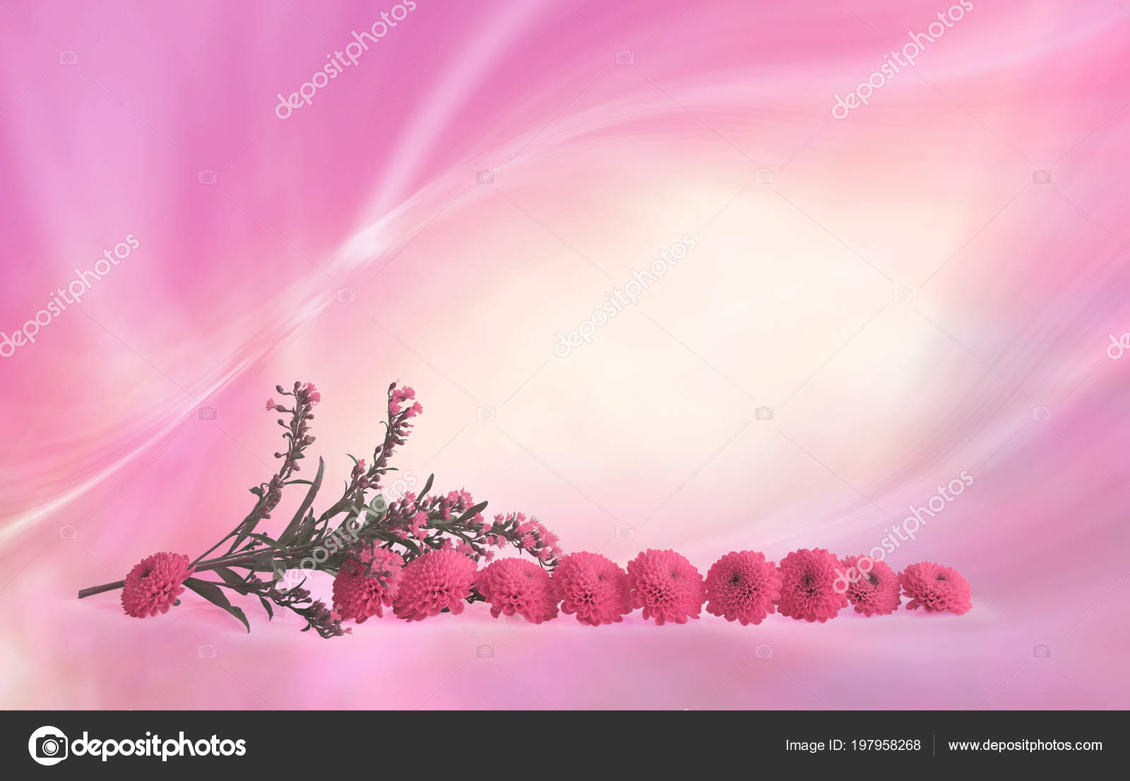 Pink Flower Heads Border Frame Sprig Meadow Flowers Small Pink Stock Photo Image By C Healing63 Pink Flower Heads Border Frame Sprig Meadow Flowers Small Pink Stock Photo Image By C Healing63
