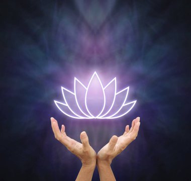 Sembolik Lotus şifa enerji - eller yukarı ulaşan ve koyu bir mor ve mavi arka plan kopya alanı ile parlayan beyaz lotus çiçek sembolü ile aç                            