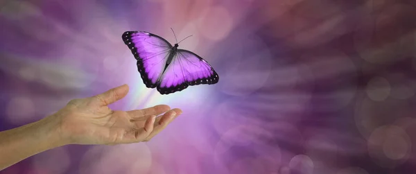 Spirit Release depicted by a magenta Butterfly taking flight - female hand with open palm and a large magenta pink butterfly rising up and away against a purple bokeh background and copy space