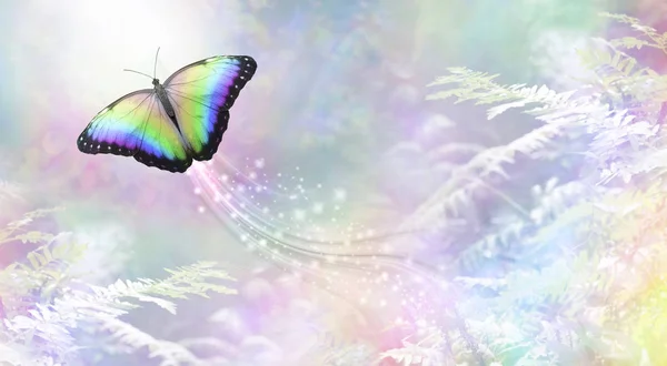 Metaphorical Butterfly Light Departing Soul Rainbow Coloured Butterfly Heading White — Stock Photo, Image