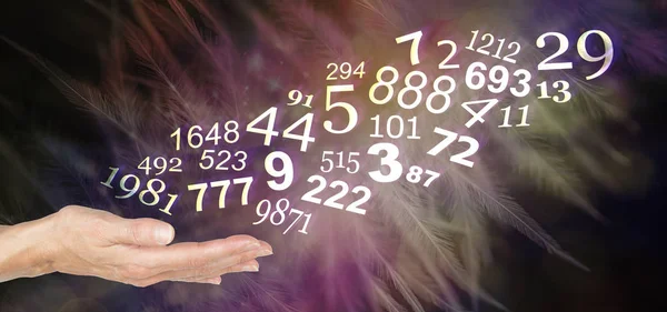 Consulte Numerologista Aprenda Sobre Seus Números Pessoais Palma Aberta Feminina — Fotografia de Stock