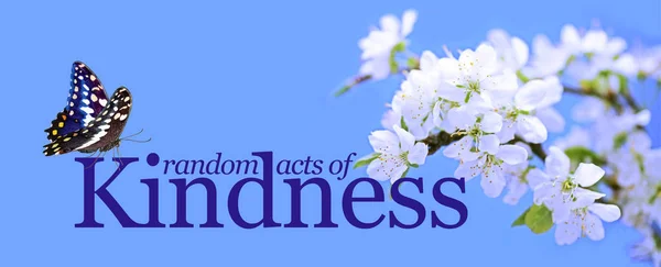 Acts Kindness Kupu Kupu Latar Belakang Biru Dengan Bunga Putih — Stok Foto