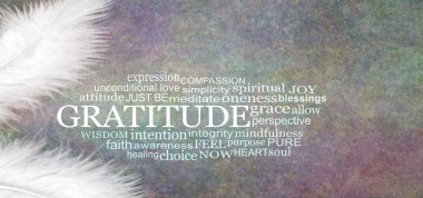 Melek Şükran Word Cloud rustik Banner - iki beyaz tüyler bir Şükran ile kelime bulutu karanlık bir taş karşı renkli rustik grunge arka plan etkisi