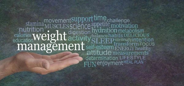 Weight Management Men Male Open Palm Hand Words Weight Management — Stock Photo, Image