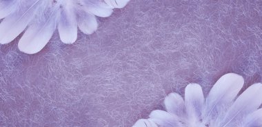 Melek tüy Çift Kişilik Köşe leylak düzgün tüyler koyulur arka plan - karşı kopya alanı ile renkli bir rustik girdap el yapımı leylak ters köşe yerleştirilir