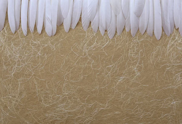 Angelic White Feather Header Gold Background Neat Row Long Thin — Stock Photo, Image