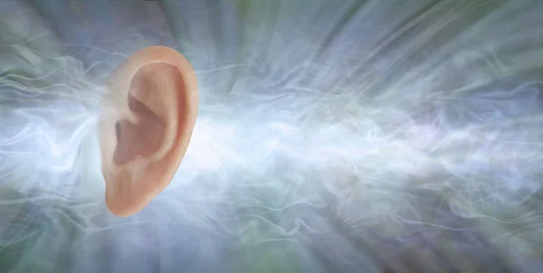 Аудиология Могли Видеть Выглядит Звук Один Плоский Профиль Человеческого Уха — стоковое фото