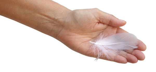 I 've been visited by an Angel - female open palm hand with a single white feather isolated on a white background

