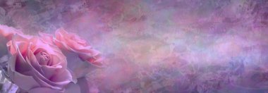 Güzel Grunge pembe güller Web sitesi başlık - üç pembe Gül kafa sol köşedeki geniş rustik gösterişli pembe renkli arka plan üzerinde sağ tarafta kopya alanı bol olan