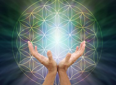 Flower of Life Mandala-kadın kaptı elleri yukarıda kopya alanı ile karanlık yayılan arka planda ışık karşı yaşam sembol deseni çiçek içinde ulaşan