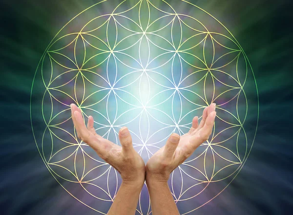 The Flower of Life Mandala - Female cupped hands reaching up  inside the flower of life symbol pattern against a light to dark radiating  background with copy space above