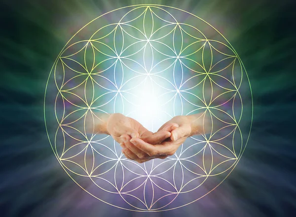 The Flower of Life Blessing - Female cupped hands with energy orb inside   flower of life symbol pattern against a light to dark radiating  background with copy space above