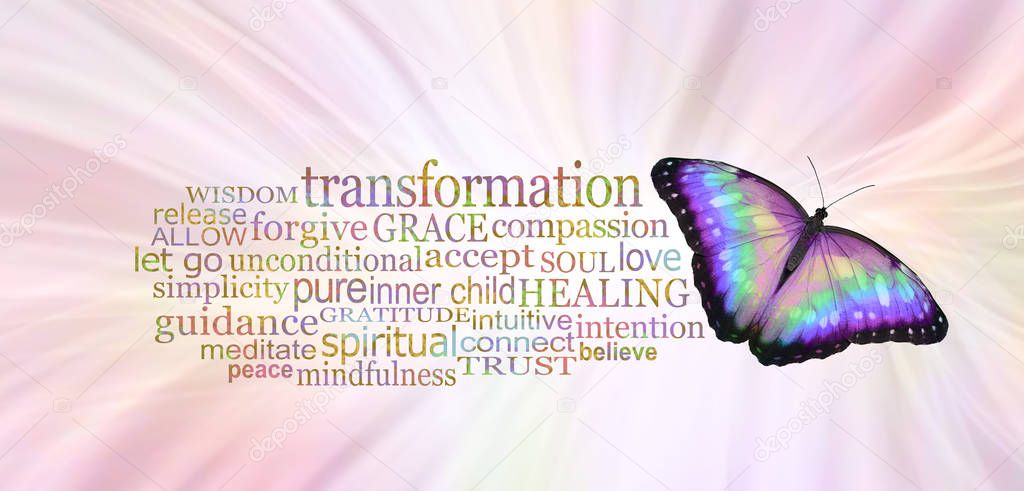 The Butterfly Symbolises Transformation - a multicoloured butterfly beside a TRANSFORMATION word cloud  against a radiating pale pink background
