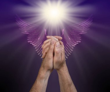 Angelic Realms yardım için dua - yukarıda parlak beyaz Bir ışık ve mor Melek kanatları bir çift ile dua pozisyonda erkek eller