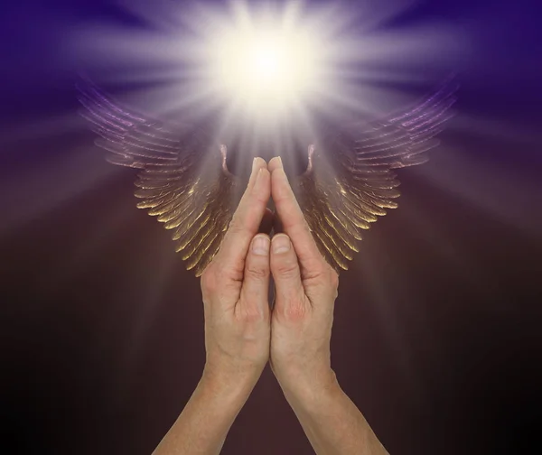 Praying for help from the Angelic Realms - female hands in praying position with a bright white light above and a pair of purple gold Angel wings