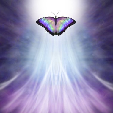 Multicoloured Butterfly Passing into the Light - metaphor for death, a multicoloured butterfly approaching bright white light on a purple blue background and upwardly flowing white light with space for copy clipart
