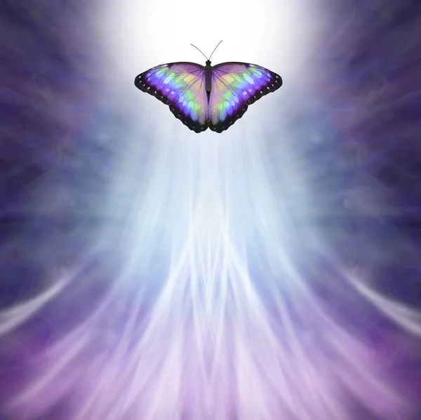 五颜六色的蝴蝶进入光 死亡隐喻 一只五颜六色的蝴蝶在紫色蓝色背景上接近明亮的白光 向上流动的白光与复制空间 — 图库照片