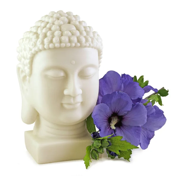 Buda Mavi Hibiscus Buda Heykeli Baş Mavi Hibiscus Çiçek Beyaz — Stok fotoğraf