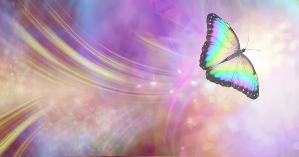 转型和精神释放概念 充满活力的蝴蝶对白色能量形成向外流动 火花和颜色向四面八方移动 复制空间 — 图库照片
