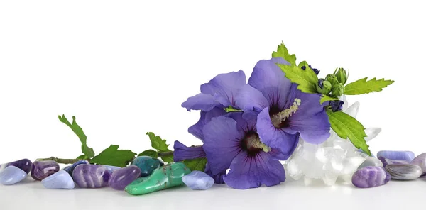 Hibiscus Flowers Tumbled Healing Stones Row Various Healing Crystals Large — Stock Photo, Image