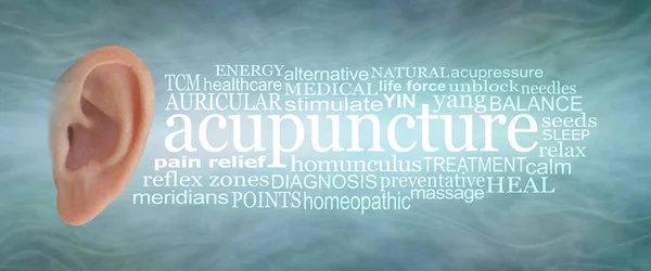 Ear Acupuncture Word Cloud banner - human ear isolated on left with an ACUPUNCTURE word cloud on right side against a sound wave effect jade blue green background