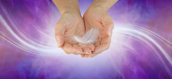 Koruyucu Melek Bayrağınızdan Bir Mesaj Narin Beyaz Tüylü Kadın Elleri — Stok fotoğraf