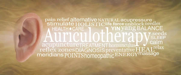 Auriculotherapie Word Cloud Banner Menselijk Oor Geïsoleerd Aan Linkerkant Met — Stockfoto