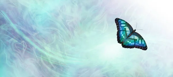 翡翠蝴蝶信息背景横幅 美丽的蓝绿色翡翠蝴蝶与浅蓝色的气色能量背景 白光和复制空间 — 图库照片