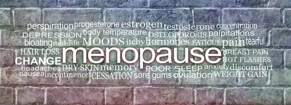 Menopuse Word Cloudに関連する単語 Menopauseワードクラウドと青灰色と赤のレンガの壁の背景 — ストック写真