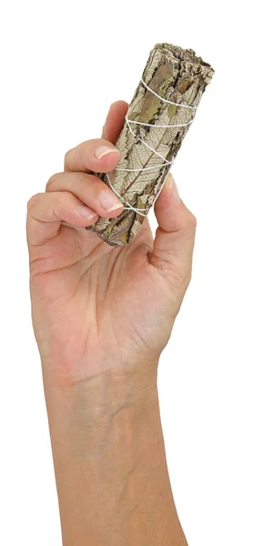 Holding White Sage Smudge Stick Right Hand Female Hand Offering — Stock Photo, Image
