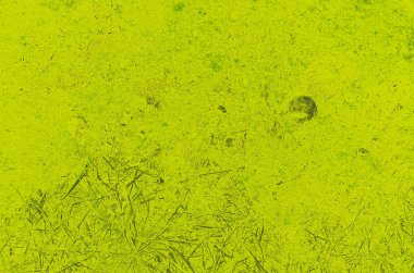 Tasarım için soyut kireç ve yeşil arkaplan.