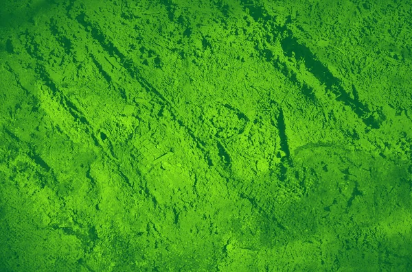 abstract green bright color background for design.