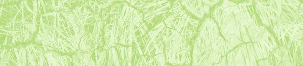 abstract light green background with copy space for design.