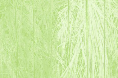 Tasarım için kopyalama alanı olan soyut açık yeşil arkaplan.